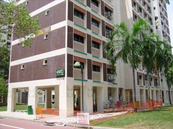 Blk 450C Tampines Street 42 (Tampines), HDB 4 Rooms #106532